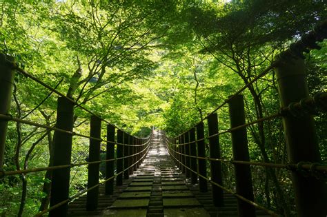 【茨城県】スポット